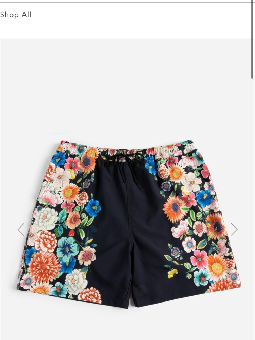 Johnny Was Men’s Floral Panel Drawstring Shorts - Black with Multicolor Blooms